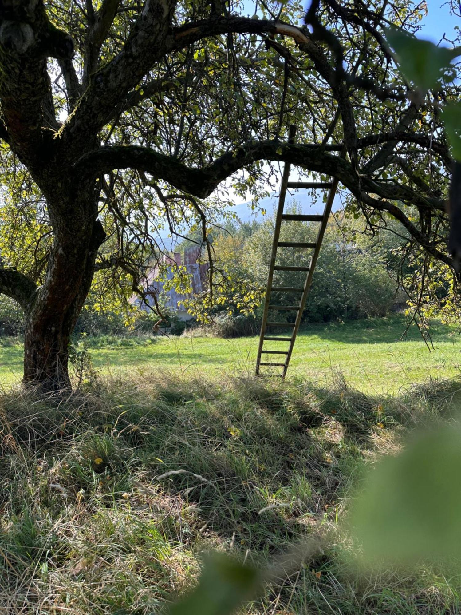 Nadherne Misto Pro Vas Relax V Prirode Uherske Hradiste Exterior foto